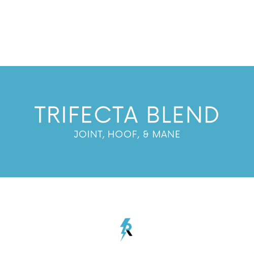 Trifecta Blend - Joint, Hoof, & Mane