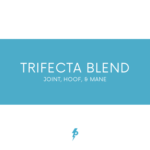 Trifecta Blend - Joint, Hoof, & Mane